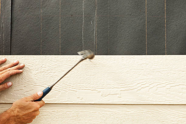 Best Siding Replacement  in Rice, TX